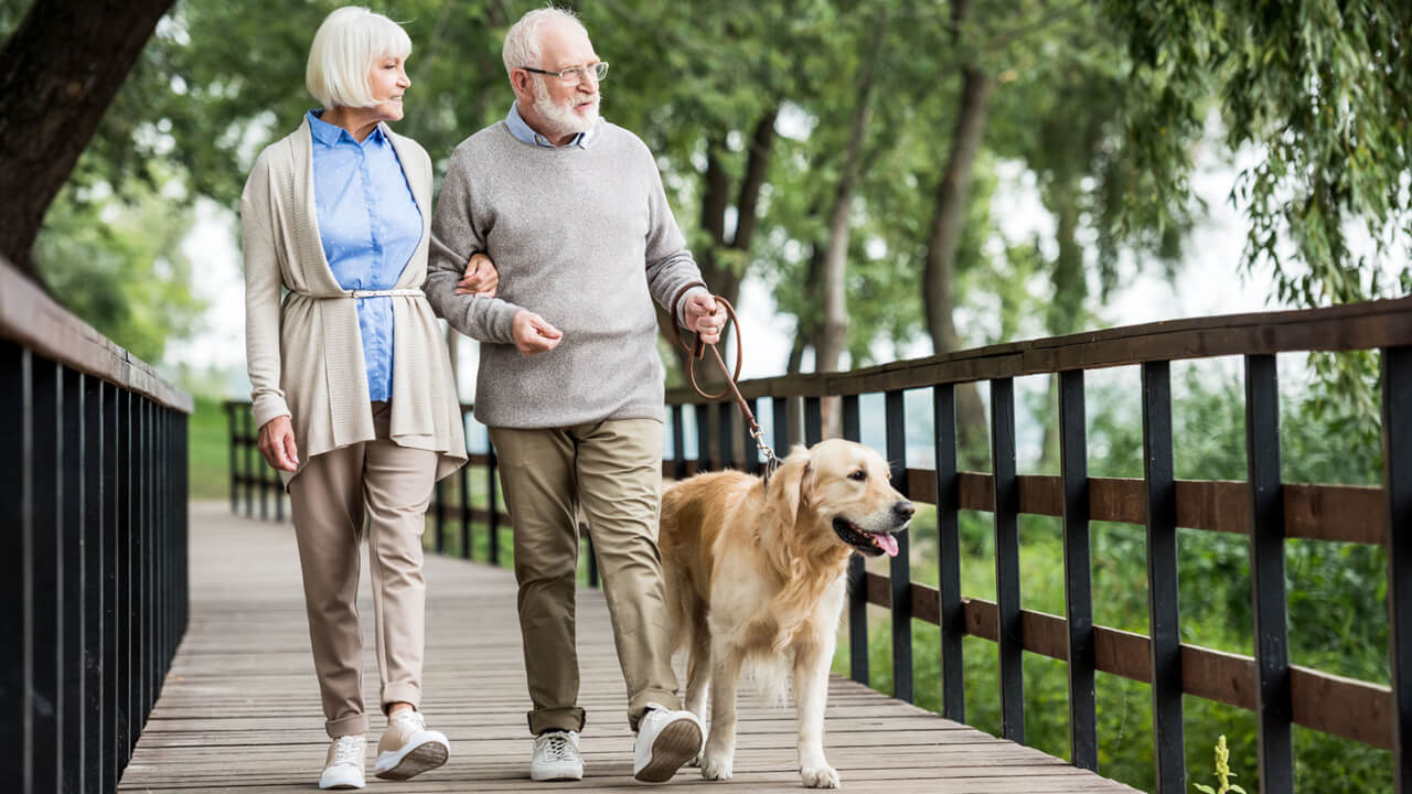 Why Walking Might Be One of the Best Exercises For Health 